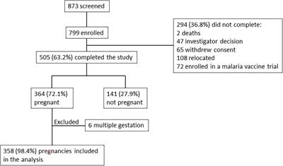 Pregnancy outcomes in a malaria-exposed Malian cohort of women of child-bearing age